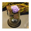 Долговечная роза в стеклянной колбе (цвета в ассортименте)